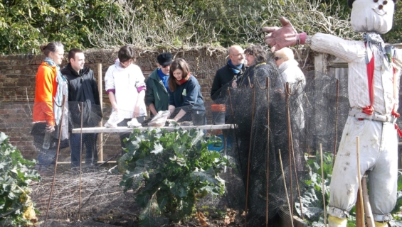 Group of volunteers in an allotment