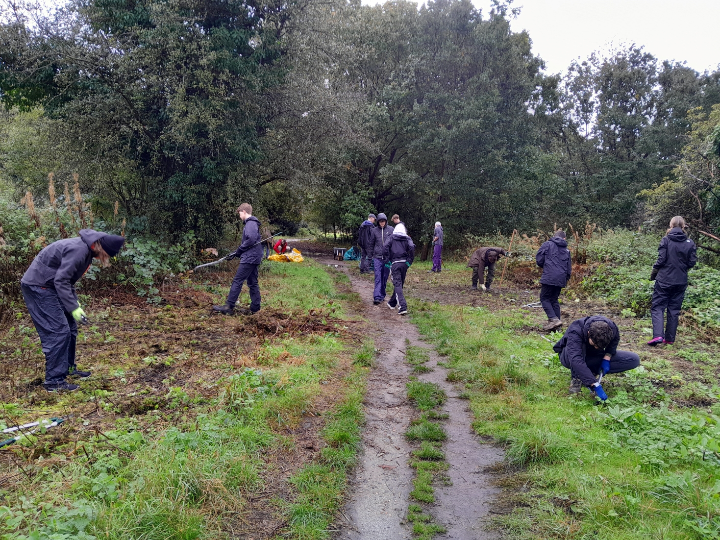 Youth volunteers with rakes, secateurs and loppers working on either side of a footpath on Ham Lands